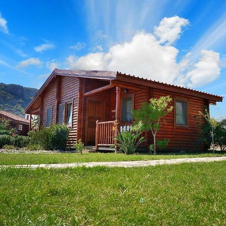 Hayitbuku Ahsapevleri Konuk evi Mesudiye  Oda fotoğraf