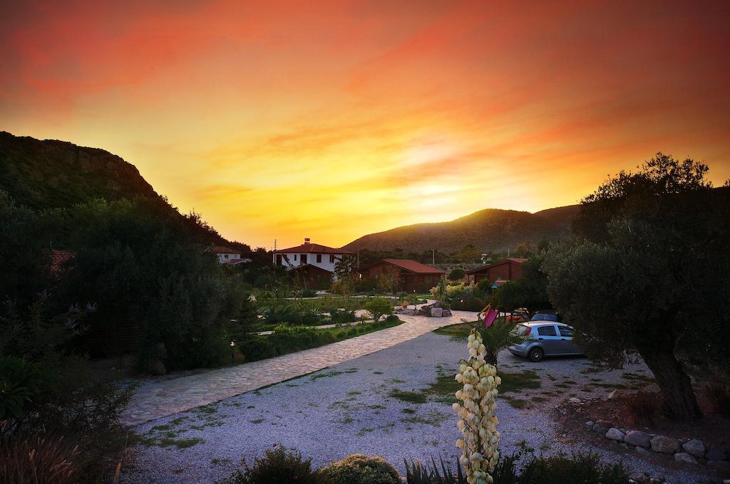 Hayitbuku Ahsapevleri Konuk evi Mesudiye  Dış mekan fotoğraf