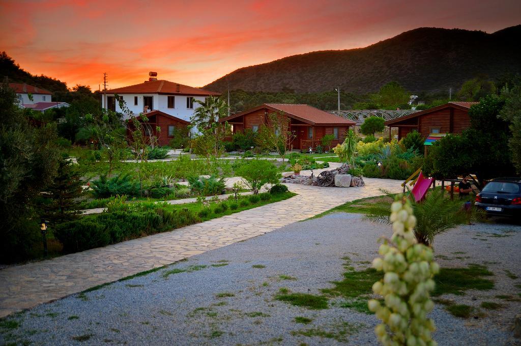 Hayitbuku Ahsapevleri Konuk evi Mesudiye  Dış mekan fotoğraf