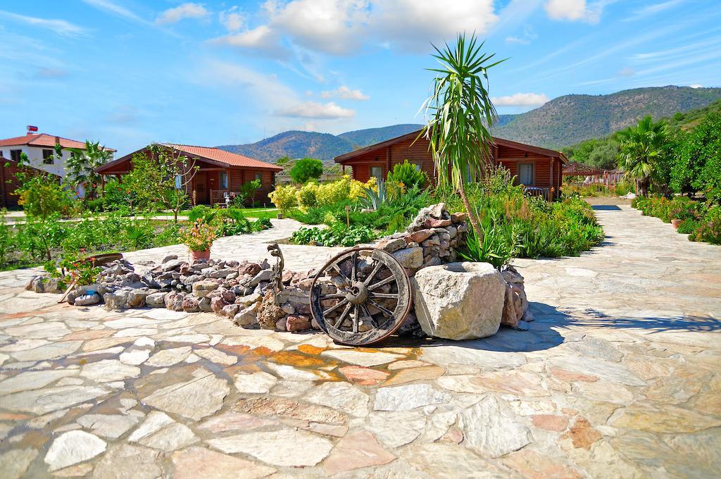 Hayitbuku Ahsapevleri Konuk evi Mesudiye  Dış mekan fotoğraf