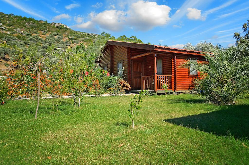 Hayitbuku Ahsapevleri Konuk evi Mesudiye  Dış mekan fotoğraf