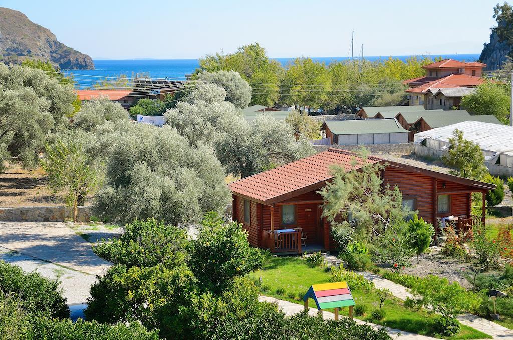 Hayitbuku Ahsapevleri Konuk evi Mesudiye  Dış mekan fotoğraf