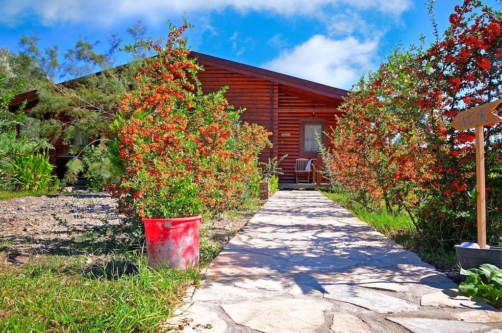 Hayitbuku Ahsapevleri Konuk evi Mesudiye  Dış mekan fotoğraf