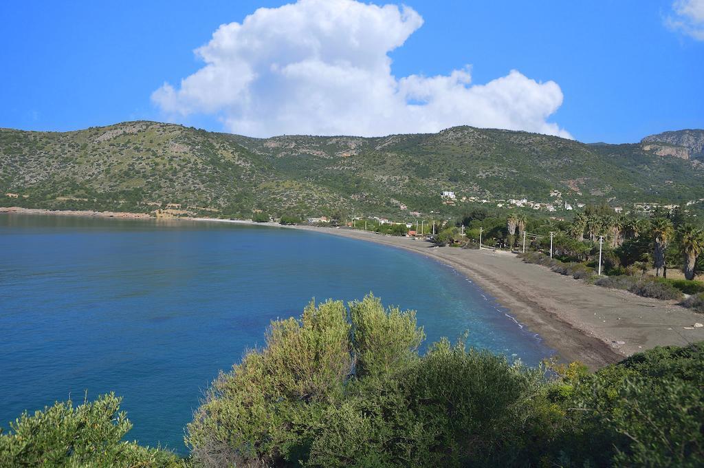 Hayitbuku Ahsapevleri Konuk evi Mesudiye  Dış mekan fotoğraf