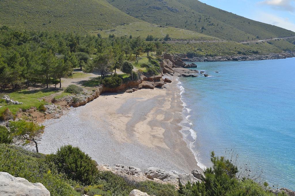 Hayitbuku Ahsapevleri Konuk evi Mesudiye  Dış mekan fotoğraf