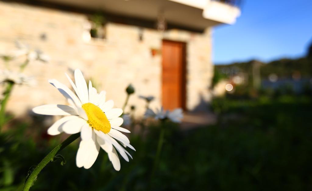 Hayitbuku Ahsapevleri Konuk evi Mesudiye  Dış mekan fotoğraf