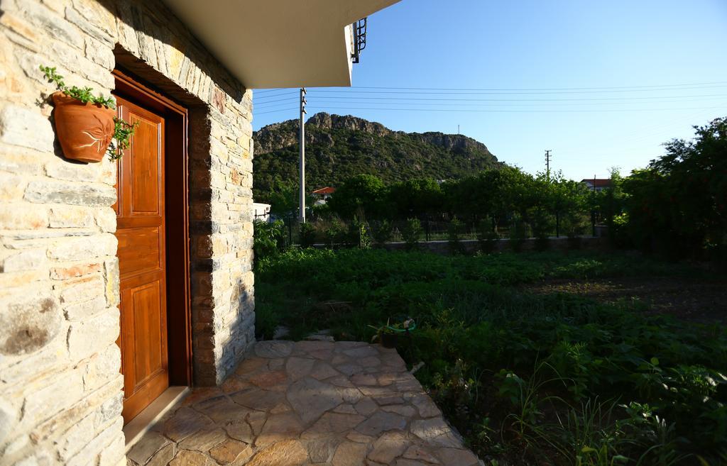 Hayitbuku Ahsapevleri Konuk evi Mesudiye  Dış mekan fotoğraf