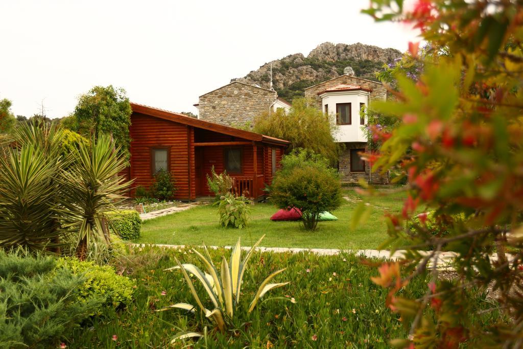 Hayitbuku Ahsapevleri Konuk evi Mesudiye  Dış mekan fotoğraf