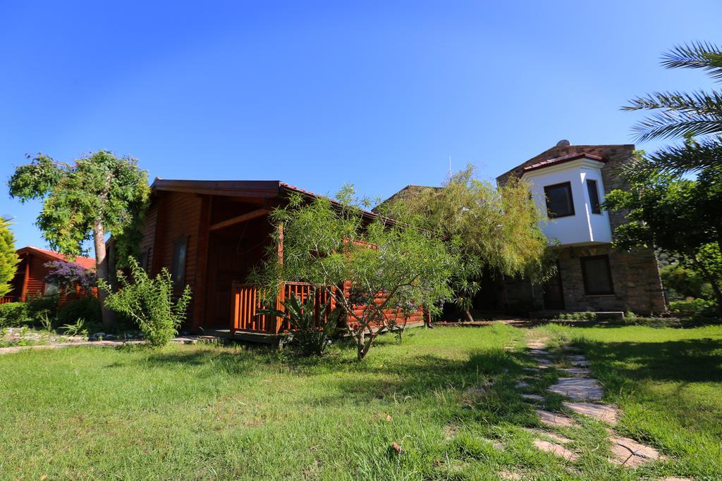 Hayitbuku Ahsapevleri Konuk evi Mesudiye  Dış mekan fotoğraf