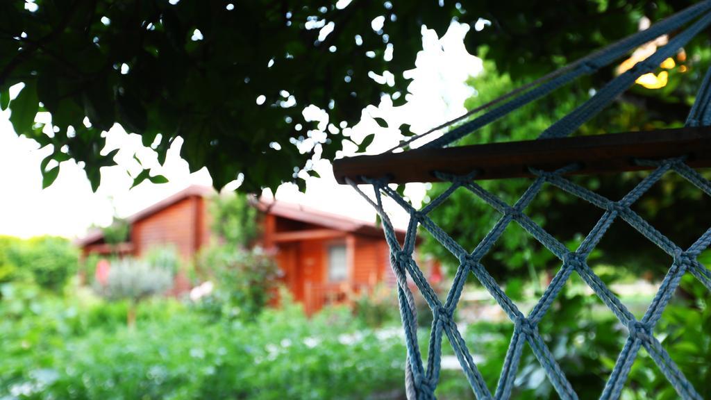 Hayitbuku Ahsapevleri Konuk evi Mesudiye  Dış mekan fotoğraf
