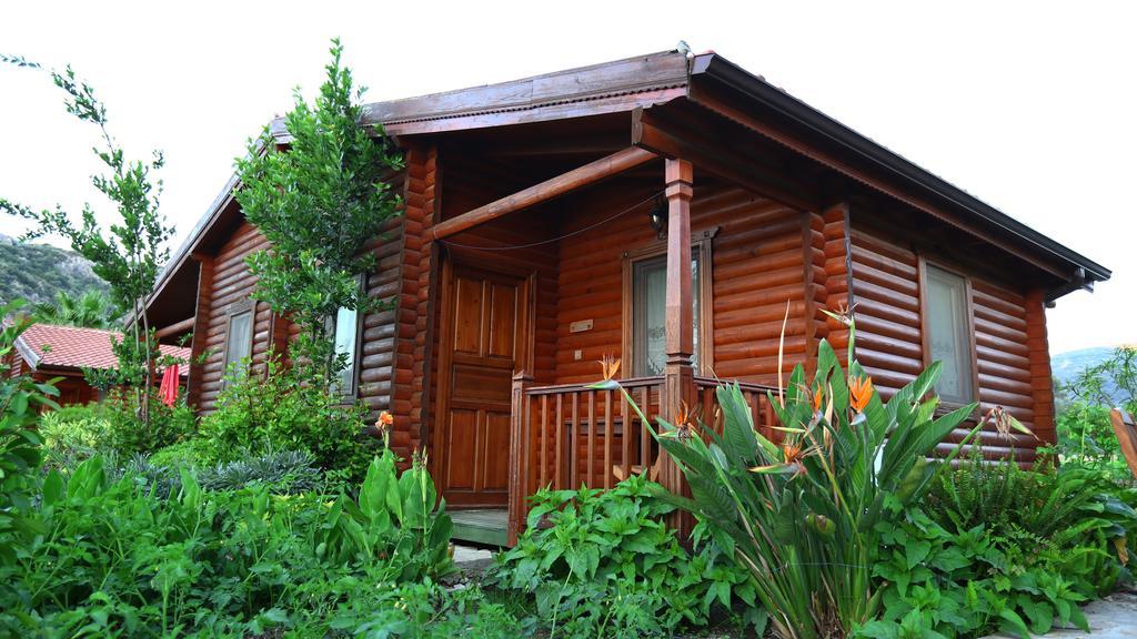 Hayitbuku Ahsapevleri Konuk evi Mesudiye  Dış mekan fotoğraf